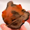 Condor Agate - Andes Mountains - 10071 - image 1