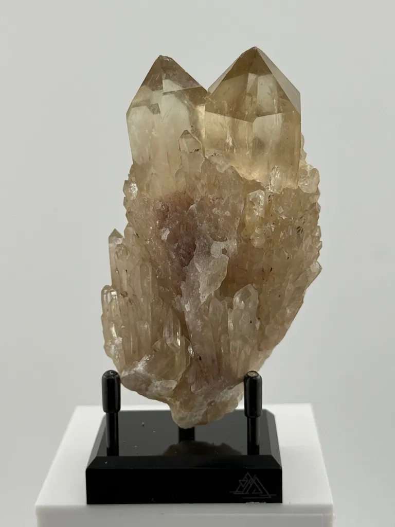 Congo Citrine Beauty image