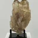 Congo Citrine Beauty - image 1