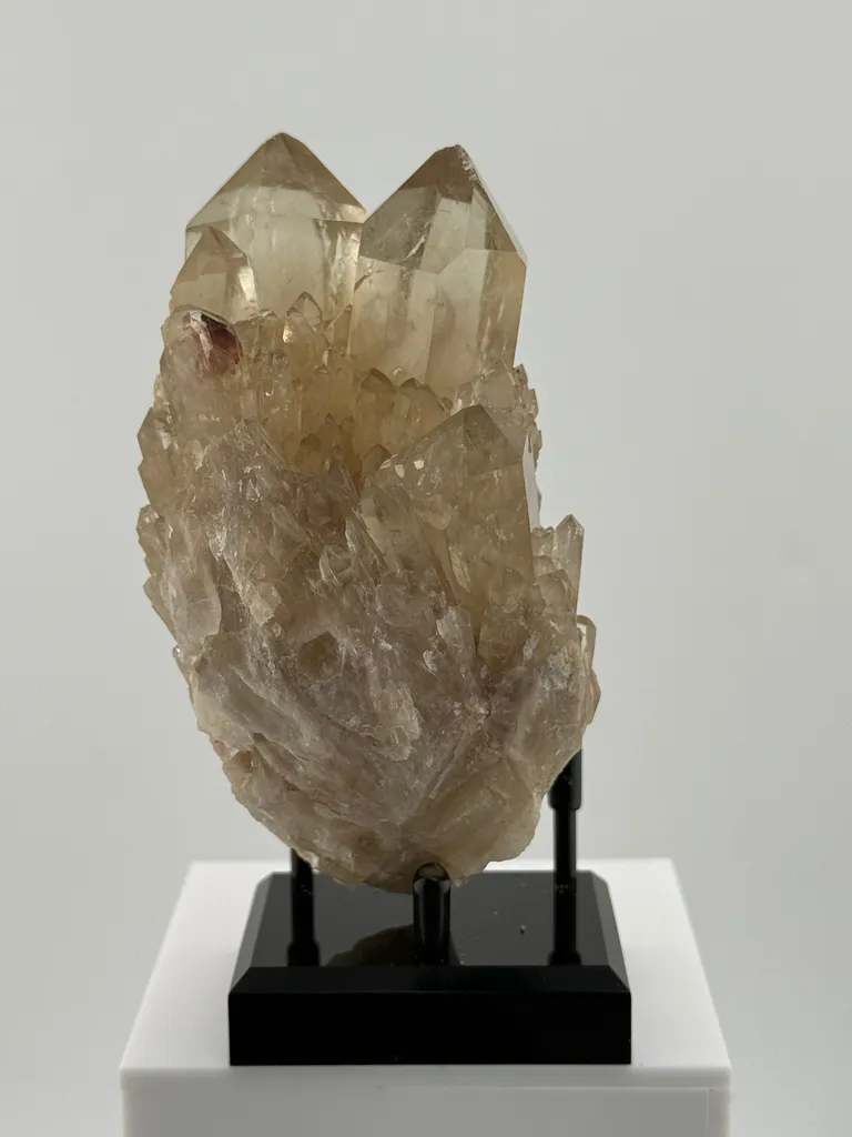 Congo Citrine Beauty - image 3