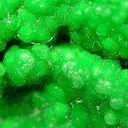 Conichalcite - image 2