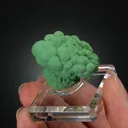 Conichalcite - image 2