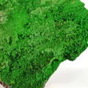 Conichalcite - image 2