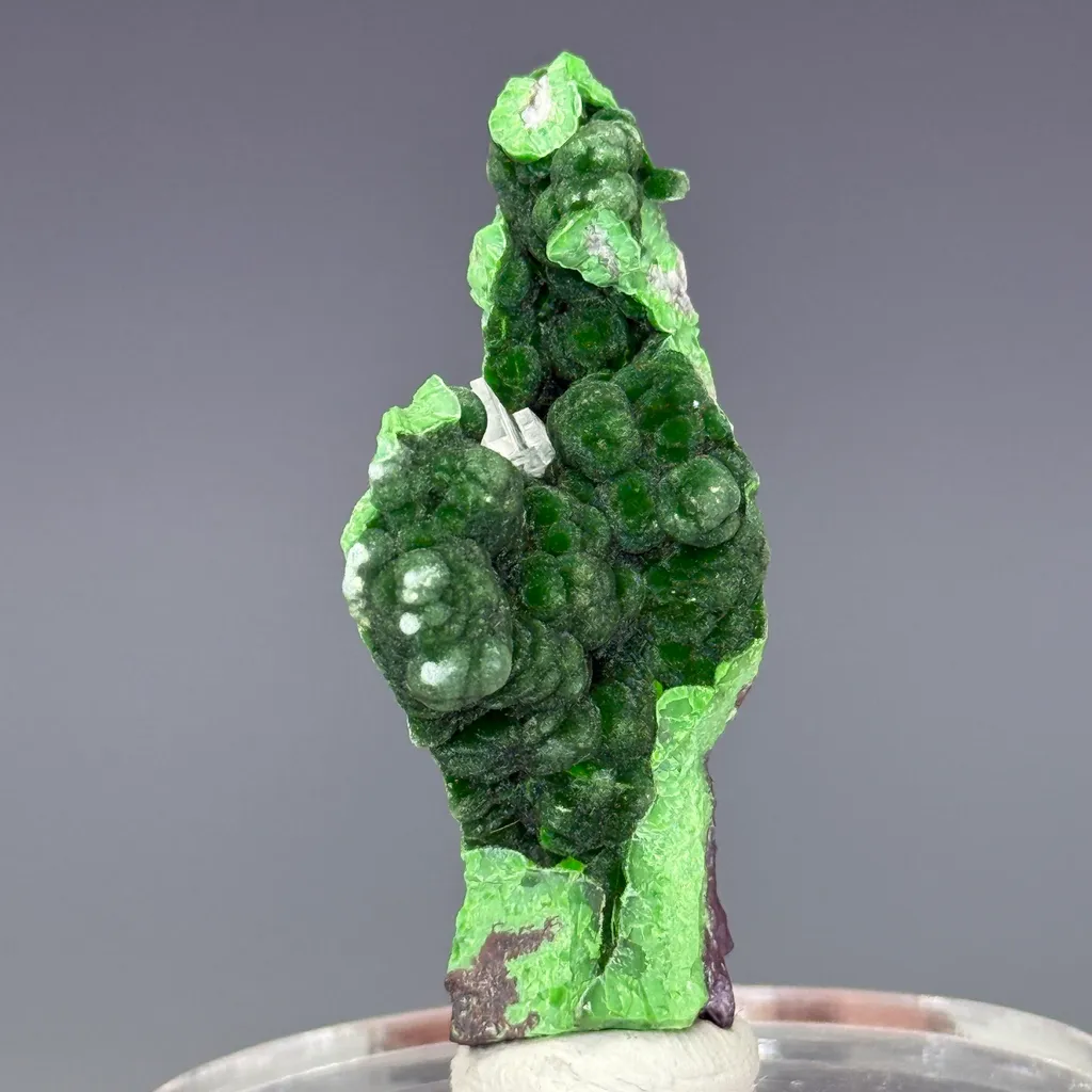 Conichalcite image