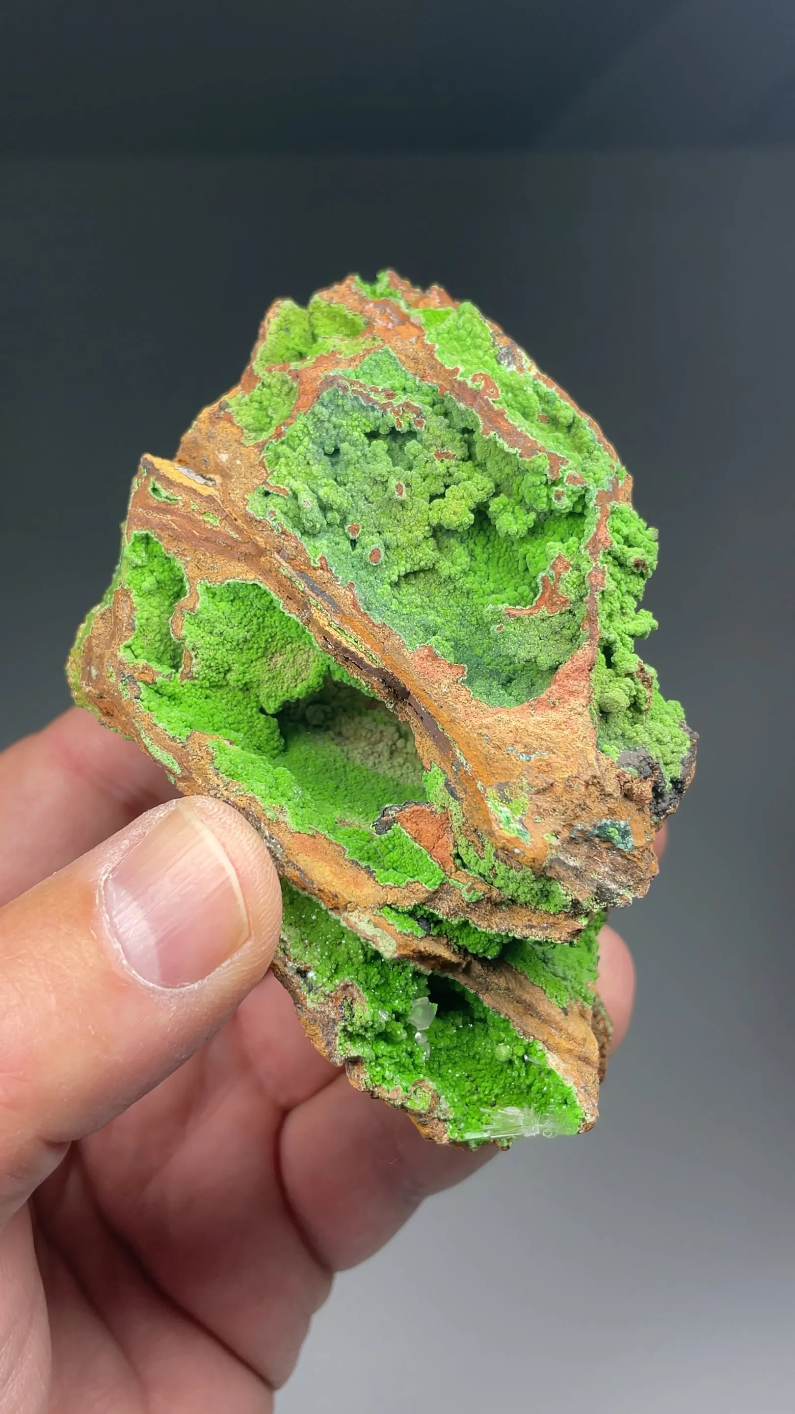 Conichalcite - image 2