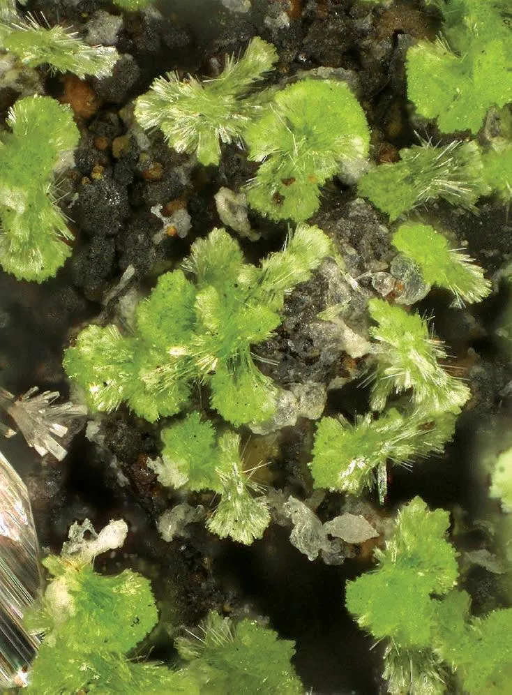 Conichalcite - image 1