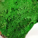 Conichalcite - image 3