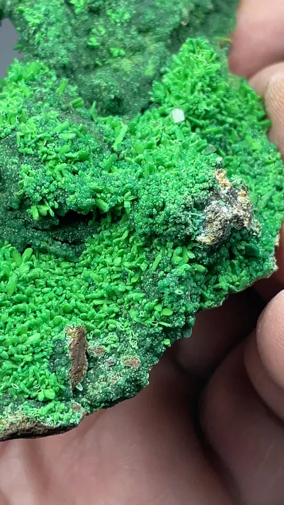 Conichalcite after Malachite after Azurite with Austinite - image 2