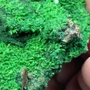 Conichalcite after Malachite after Azurite with Austinite - image 2