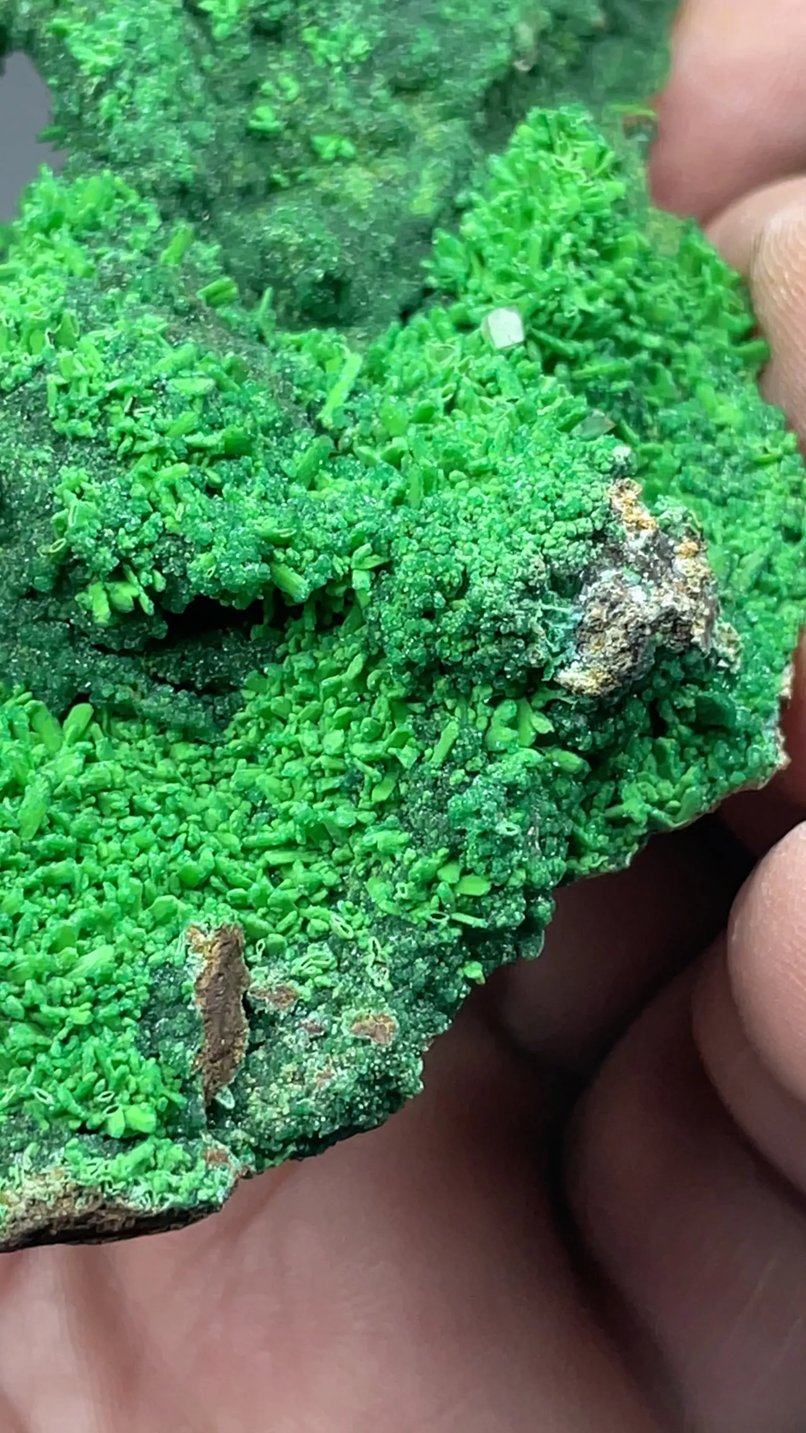 Conichalcite after Malachite after Azurite with Austinite - image 2