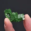 Conichalcite cast with Calcite - image 2