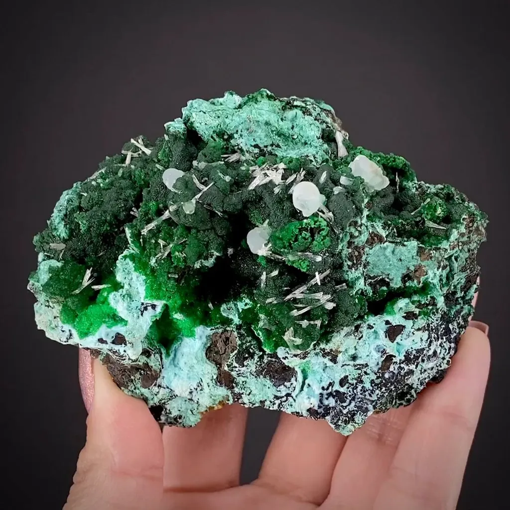 Conichalcite, Chrysocolla, Smithsonite and Aragonite image