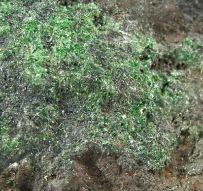 Conichalcite - image 2