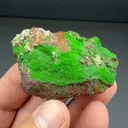 Conichalcite from Gold Hill, Utah, USA - image 2