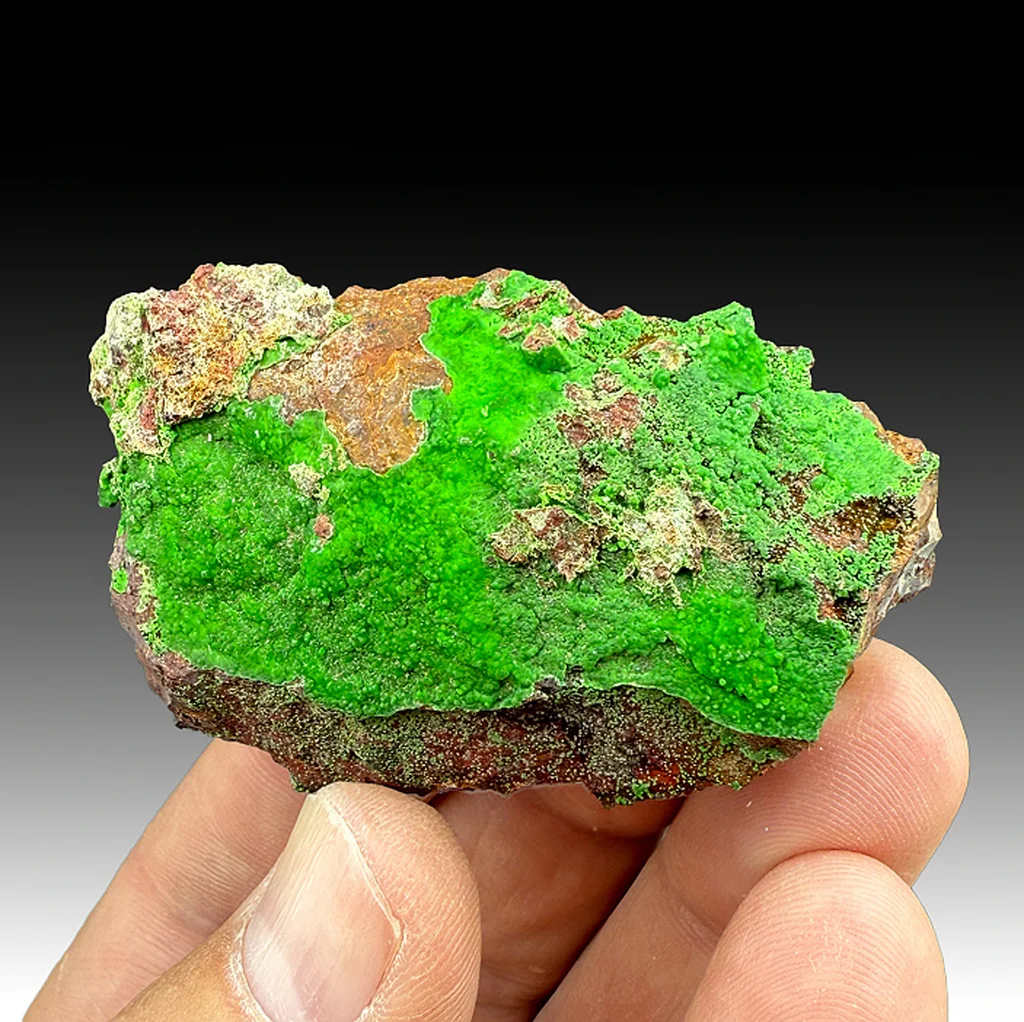 Conichalcite from Gold Hill, Utah, USA - image 1