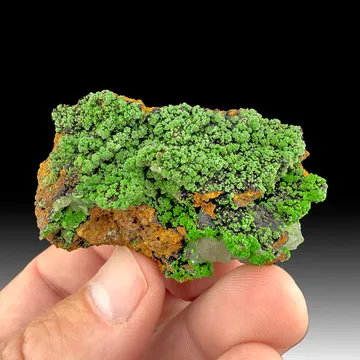 Conichalcite from Ojuela Mine, Mapimí, Durango, Mexico