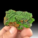 Conichalcite from Ojuela Mine, Mapimí, Durango, Mexico - image 1