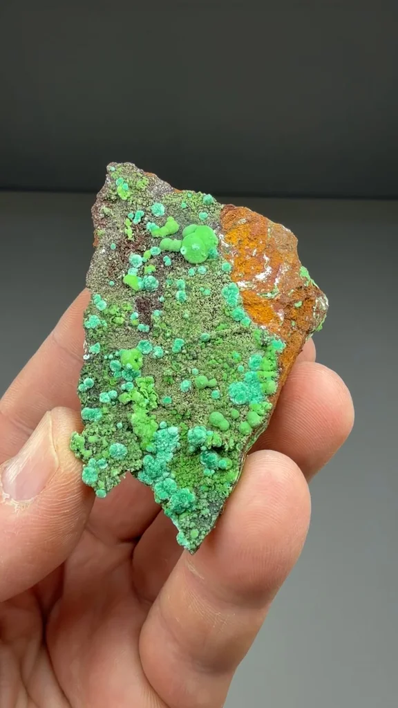 Conichalcite from Ojuela Mine, Mapimí, Durango, Mexico - image 2