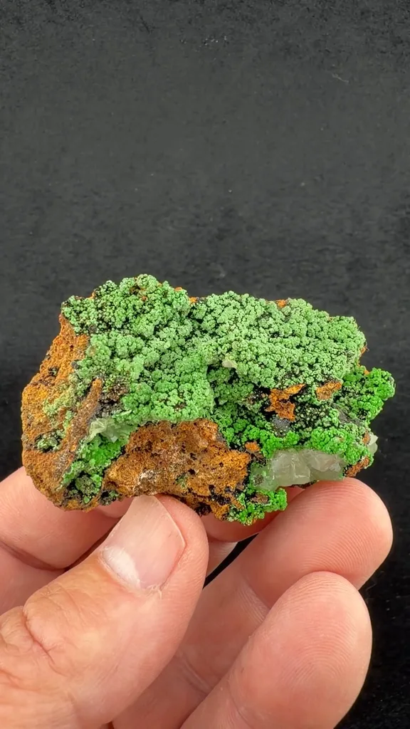 Conichalcite from Ojuela Mine, Mapimí, Durango, Mexico - image 2