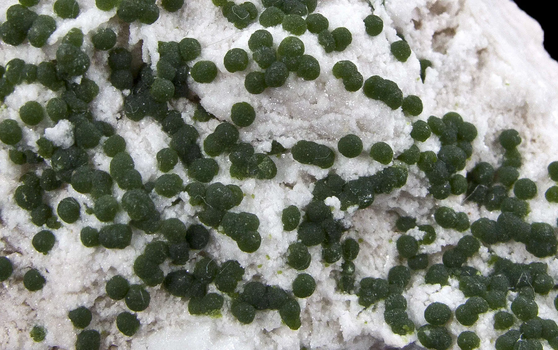 Conichalcite on Dolomite - image 3
