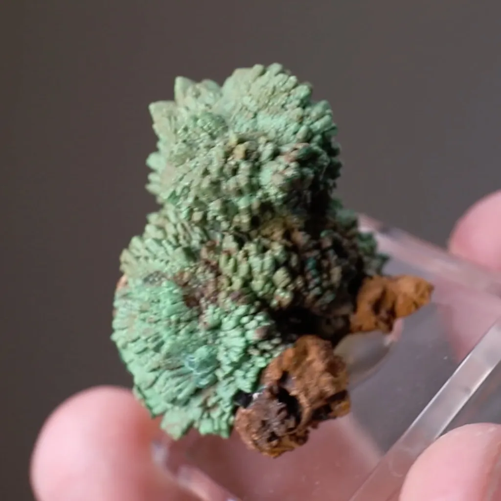 Conichalcite pseudomorph after Calcite - image 2