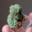 Conichalcite pseudomorph after Calcite - image 2