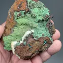 Conichalcite with Adamite - image 2
