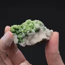 Conichalcite with Calcite - image 2