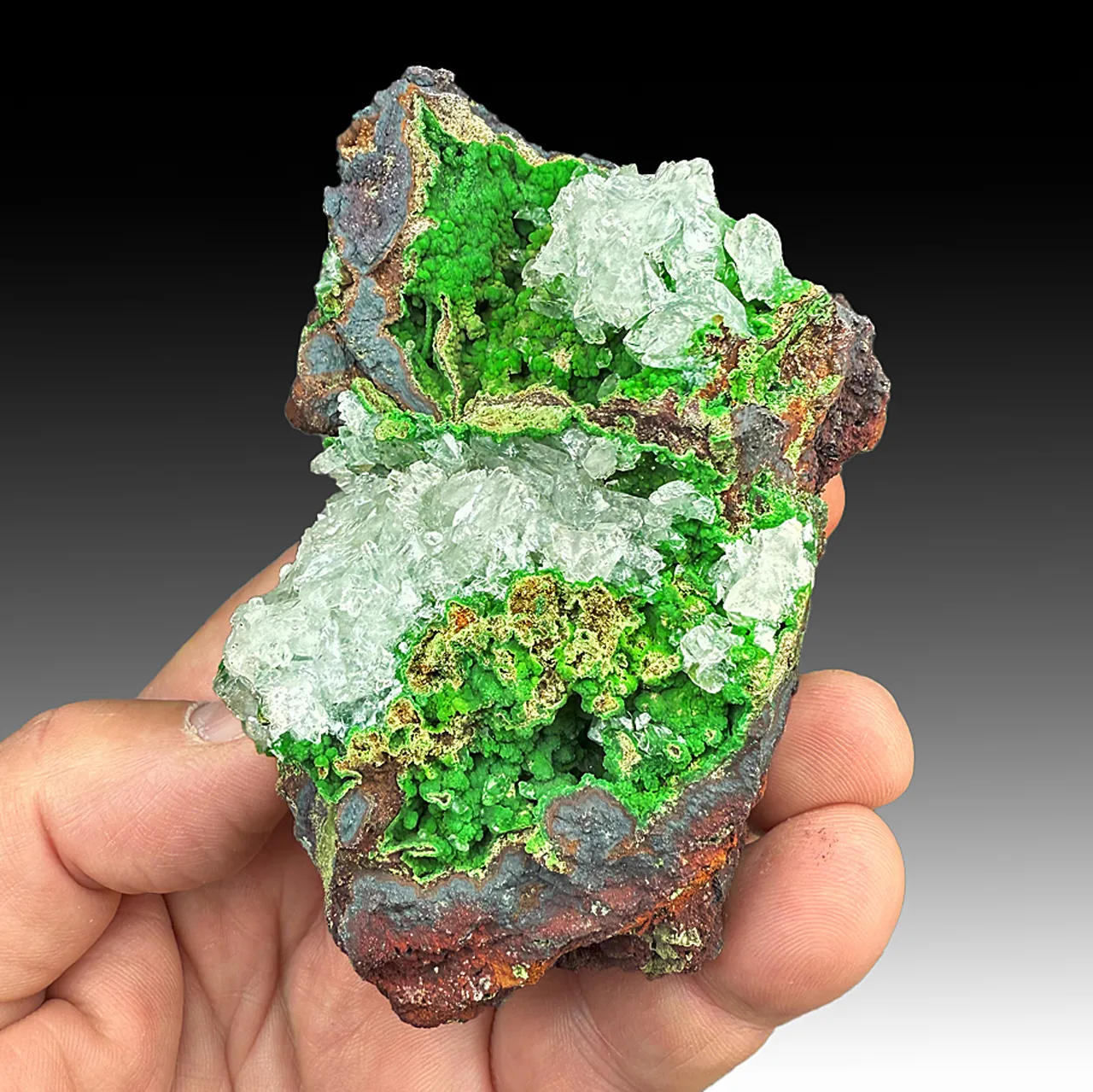 Conichalcite with Calcite - image 1