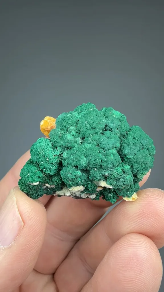 Conichalcite with Cuprite, Calcite image