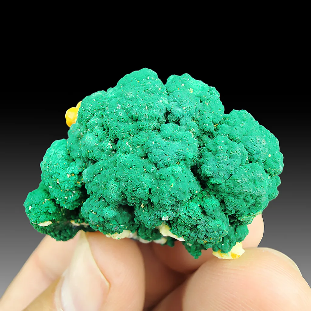 Conichalcite with Cuprite, Calcite - image 1