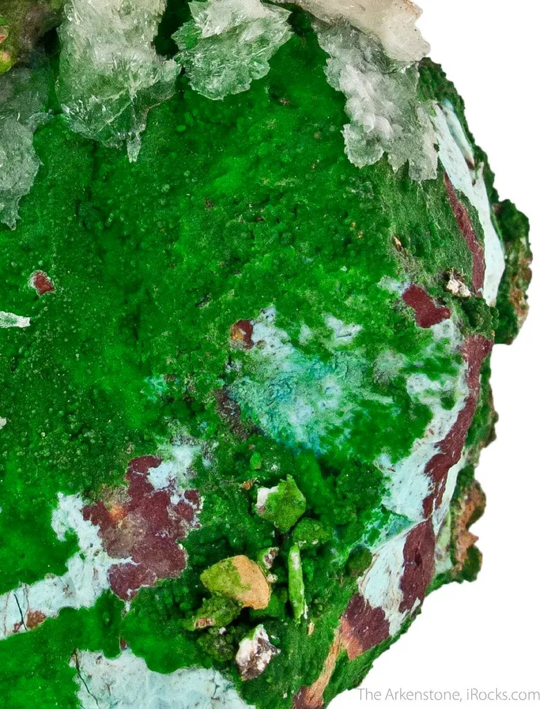Conichalcite with Halloysite and Calcite - image 5