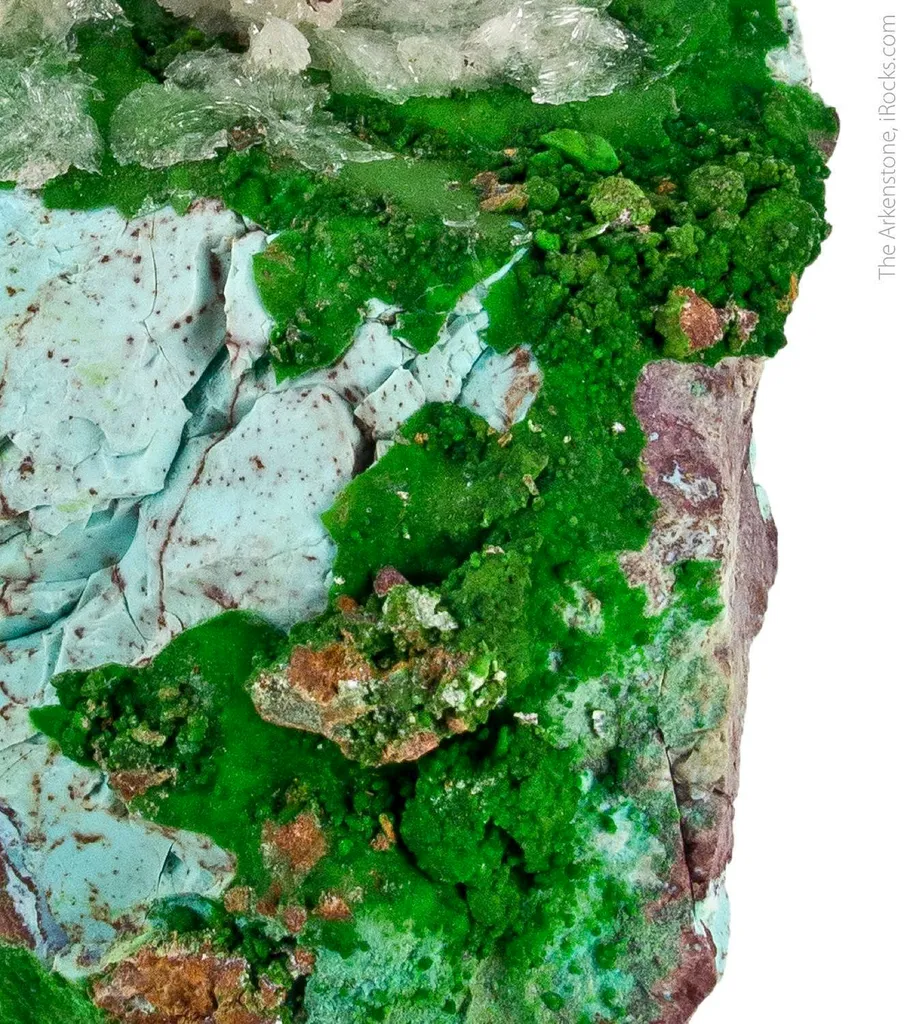 Conichalcite with Halloysite and Calcite - image 3