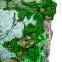 Conichalcite with Halloysite and Calcite - image 3