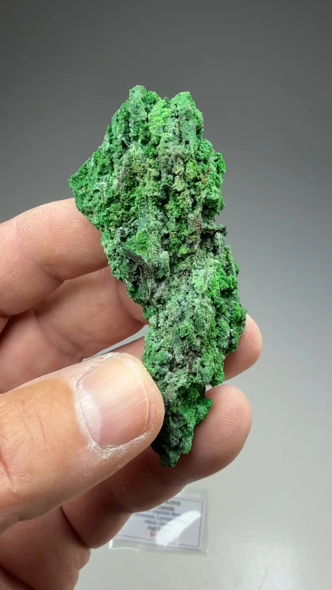 Conichalcite with Smithsonite - image 2