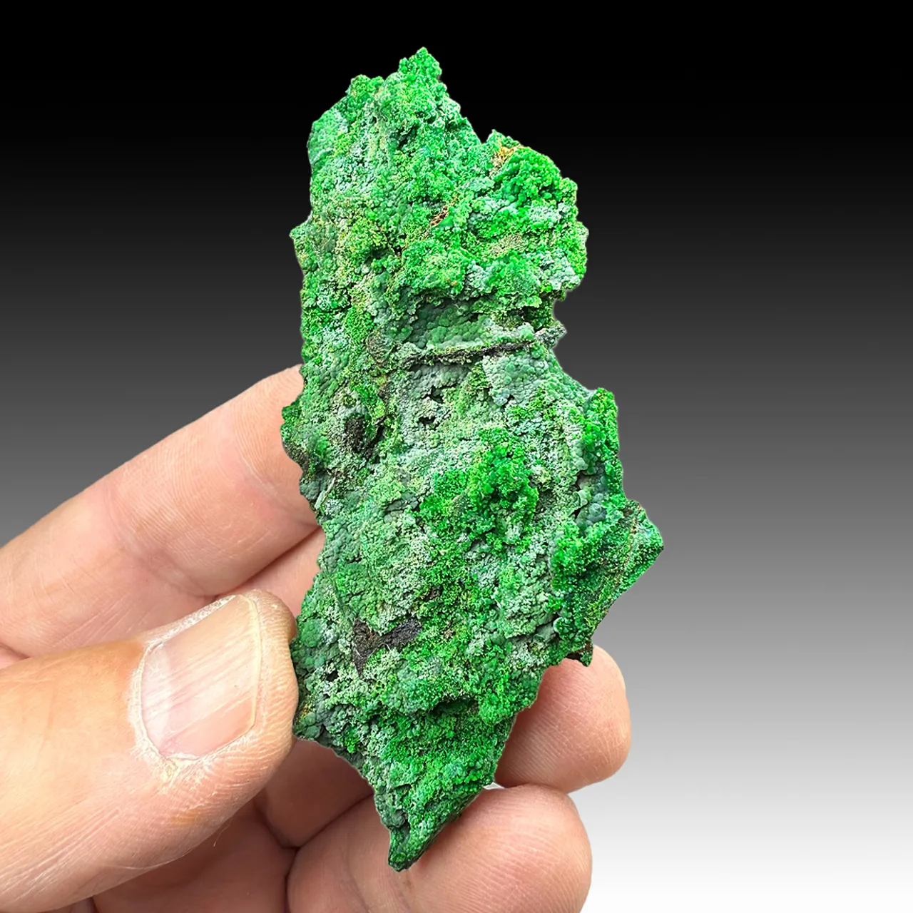 Conichalcite with Smithsonite - image 1