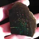 Conk Opal from Virgin Valley District of Nevada USA - image 3