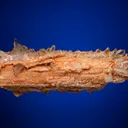 COOKEITE after Elbaite with Quartz and Apatite - image 5