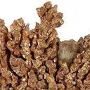 Copper - image 2