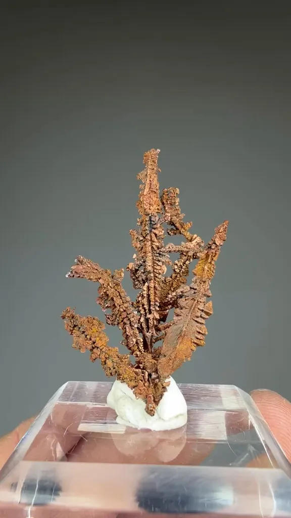 Copper - image 2