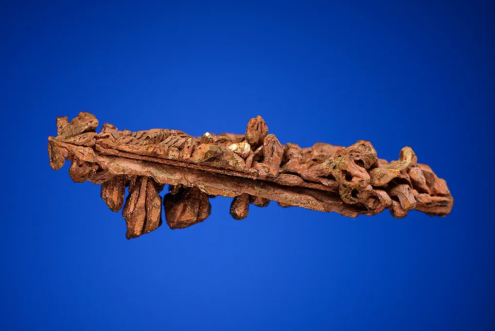 Copper - image 3