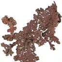 Copper - image 2