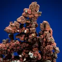 Copper - image 2