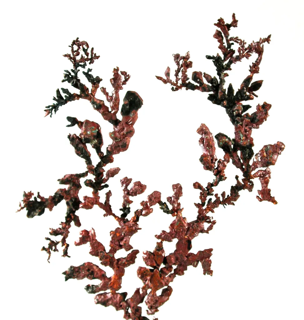 Copper - image 2