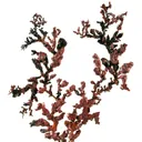 Copper - image 2