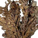 Copper - image 3