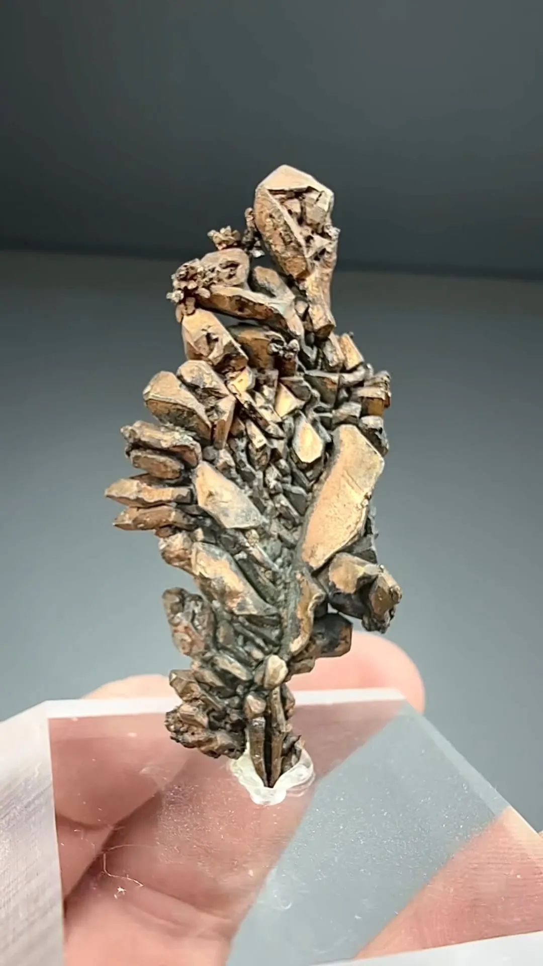 Copper (1086) - image 2