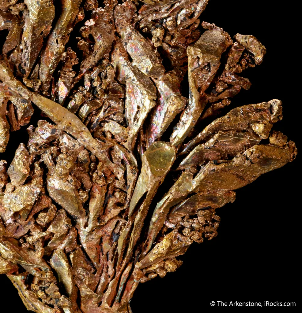 Copper - image 6