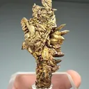 Copper (1192) - image 2