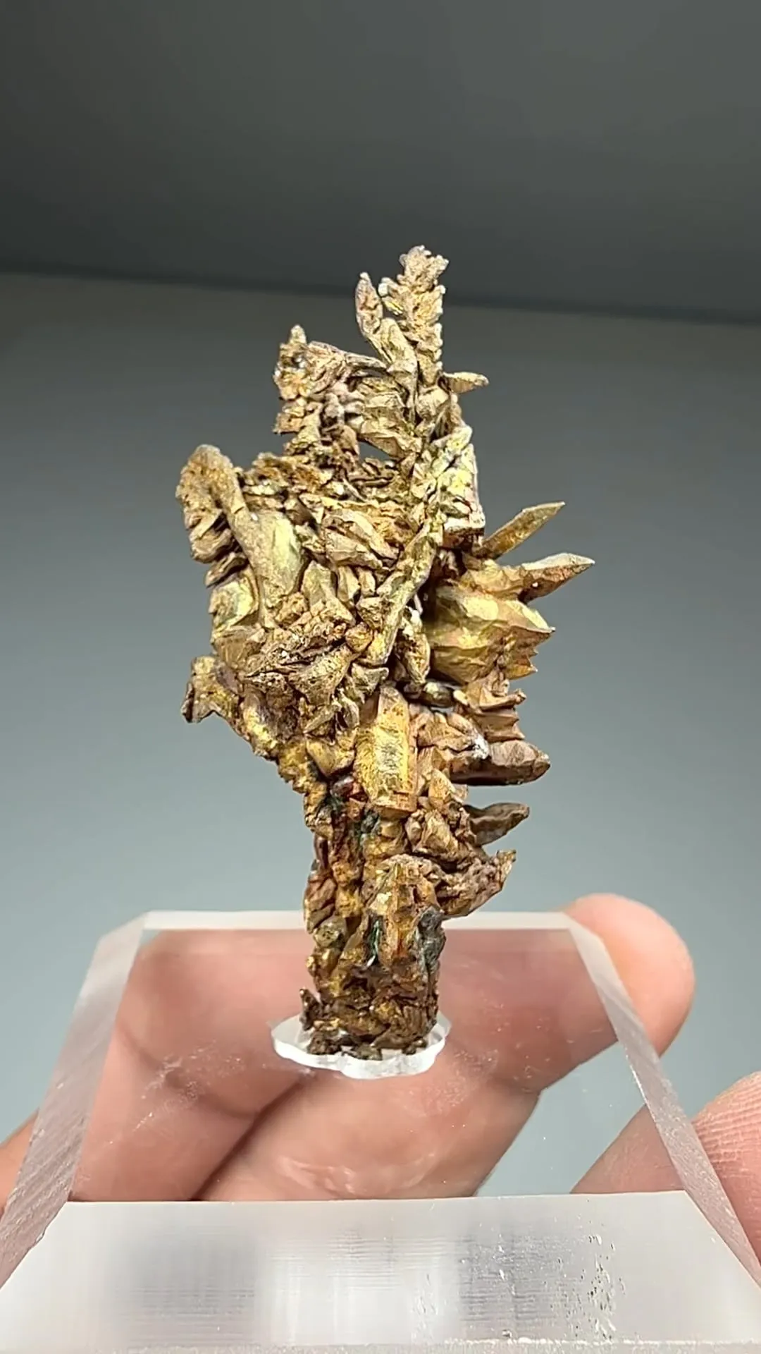 Copper (1192) - image 2